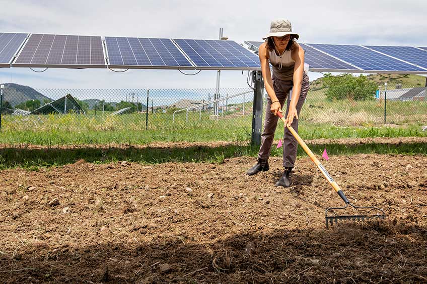 Photograph of a woman raking soil with solar panels in the background.