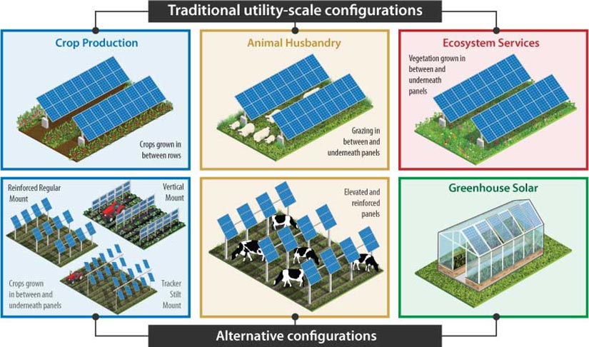 Illustration of six different solar panel configurations, including three traditional utility-scale agrivoltaics configurations and three alternative configurations.