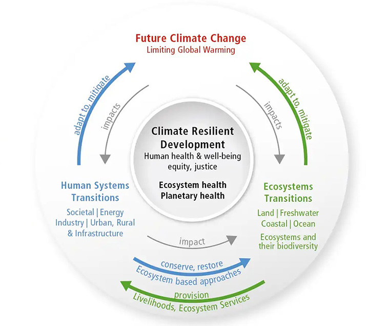 A cycle graphic depicting potential strategies to limit climate change and global warming. The center of the figure calls out climate resilient development as a vital strategy in protecting ecosystem, planetary, and human health.
