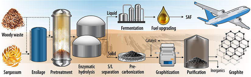 Large pelagic sargassum brown alga seaweed deposit on beach.” Second photo is attached. Alt text: “Overview of process to convert woody waste and sargassum into SAF and graphite, including ensilage, pretreatment, enzymatic hydrolysis, and solid/liquid separation, before the liquids go through fermentation and fuel upgrading and the solids go through pre-carbonization, graphitization, and purification.