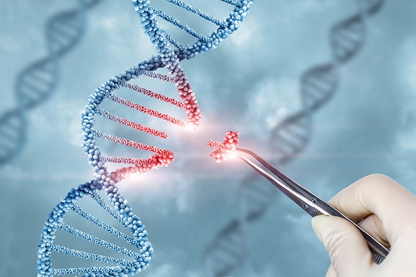Illustration of a gloved hand removing a piece from a DNA molecule.