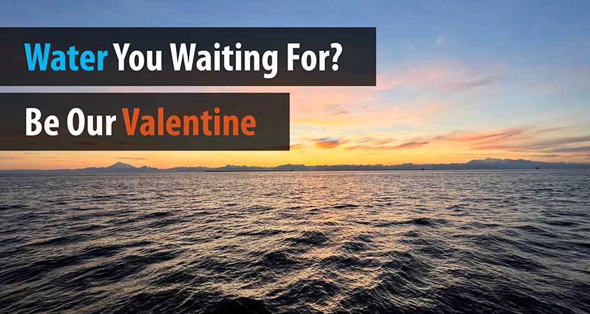 The ocean at sunset overlain with the words, "Water you waiting for? Be our valentine."