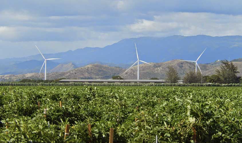 Tres aerogeneradores se elevan sobre un huerto. Al fondo, se ven montañas y el cielo parcialmente nublado.