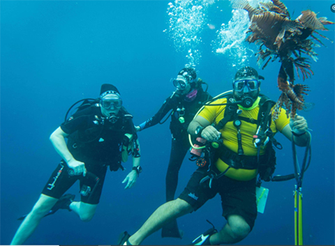 Three scuba divers underwater, one with a speared lionfish.