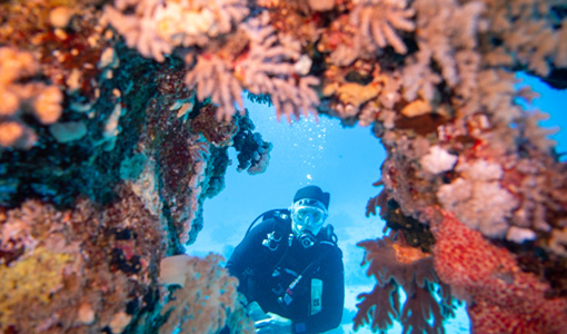 Distinguished Researcher Matt Keyser Recycles Lionfish and Li-Ion Batteries