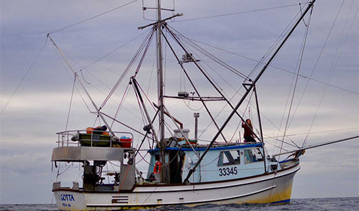 Battery-Electric Fishing Vessel Marks a Sea Change for Small Commercial Fishers