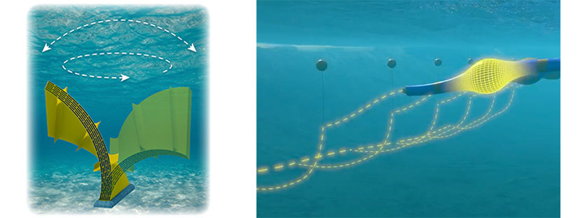 On the left: An illustration of a flap-like wave energy device mounted on the seafloor and flexing dramatically in different directions; on the right: An illustration of a tubular wave energy converter with a highlighted “bulge” traveling its length