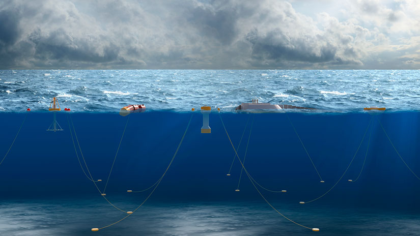 Five wave energy devices floating near the surface of the ocean with tethers extending down to the seafloor.
