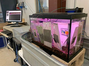A fishtank containing boards and wires submerged in water.