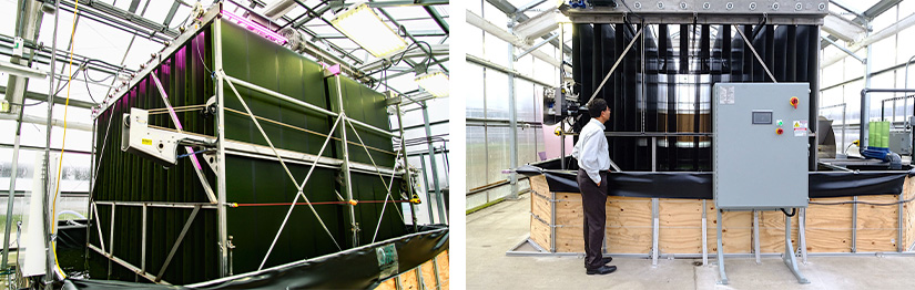 Two images of an algal biofilm system.