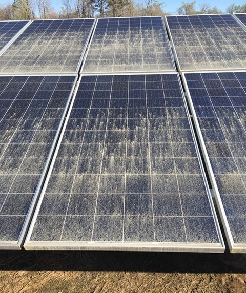 Close-up of a solar panel coated in pollen.