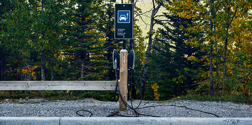 An EV charging station against a leafy green outdoor backdrop.