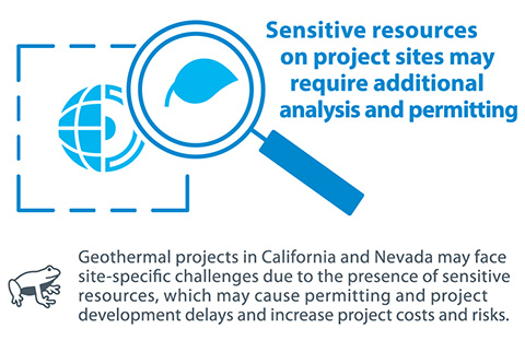Graphic with magnifying glass and frog that reads: Sensitive resources on project sites may require additional analysis and permitting. Geothermal projects in California and Nevada may face site-specific challenges due to the presence of sensitive resources, which may cause permitting and project development delays and increase project costs and risks.