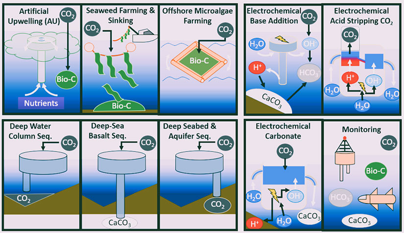 Ten graphics depicting different forms of marine carbon management systems.