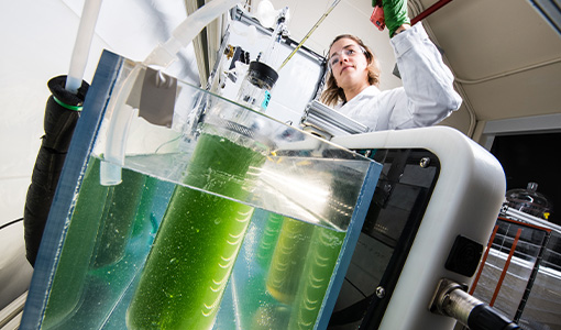 15 Finalist Teams Announced for AlgaePrize 2023–2025 Competition