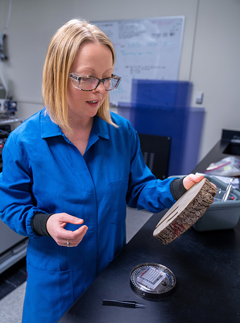 A woman in a laboratory setting holding a section of wood.