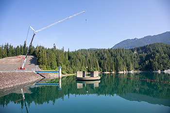Water, trees, crane and mountain