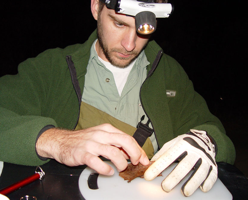 A person wearing a headlamp holds a bat with a gloved hand.