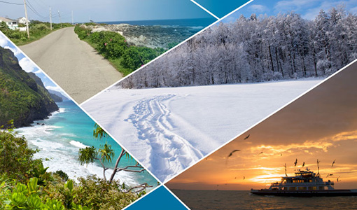 A mosaic of landscape imagery, including photographs of a beach next to green hills, a dirt road with powerlines running alongside it, a snowy field, and a boat on water surrounded by birds in front of a sunset.