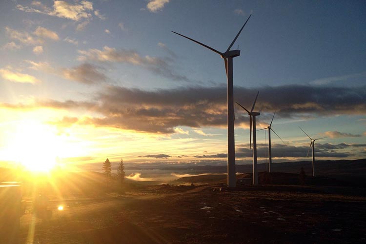A view of four wind turbines at sunset