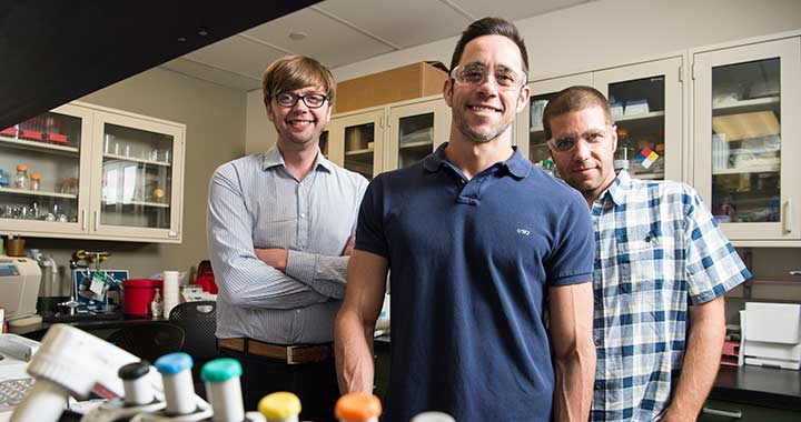 Researchers from NREL and the University of Georgia.