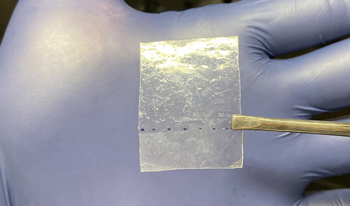 A sample of the film intended to protect perovskite solar cells.