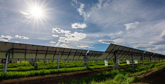 Many ground-mounted solar photovoltaic arrays facing the sun.
