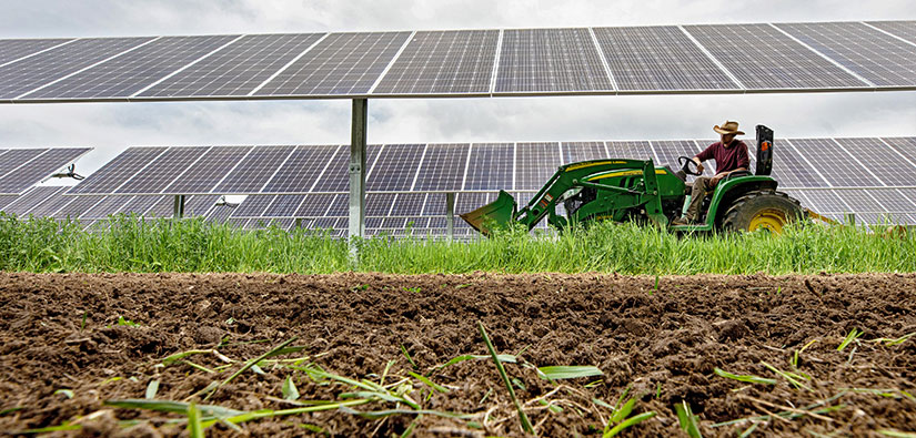 A farmer drives a tractor beneath a solar array with tilled dirt in the foreground.