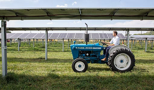 Person driving tractor in between ground-mounted solar arrays.