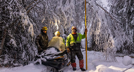 Three workers stand in snowstorm with trees weighed down by heavy snow.