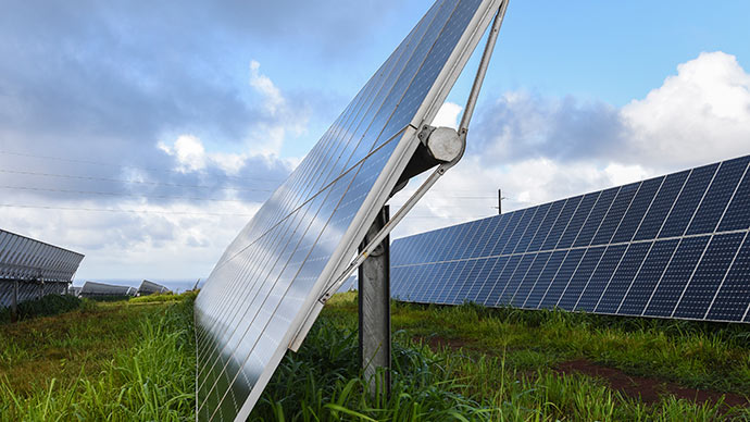 Image of solar panels in grassy field in Hawaii.