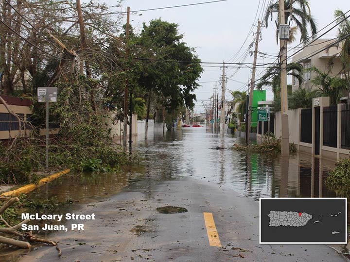A street with flood water, damaged trees, and powerlines after a hurricane. 