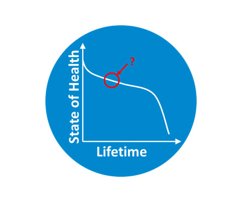 A simple graph illustrates how state of health and lifetime information can inform diagnosis modeling.