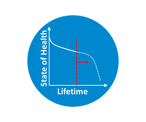 A simple graph illustrates how state of health and lifetime information can inform prediction modeling.