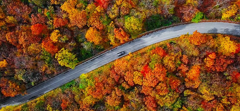 Aerial image of winding mountain road inside of colorful autumn forest.