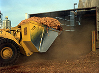 Photo of a bulldozer moving wood chips into an energy plant.