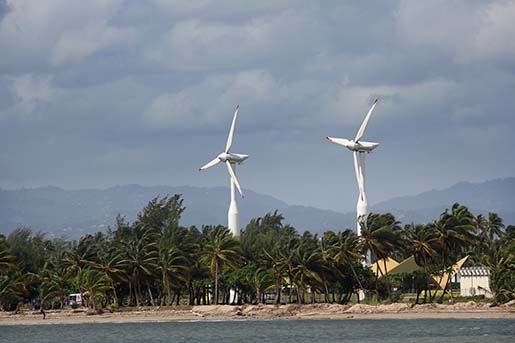 Two wind turbines in the Caribbean surrounded by palm trees on a windy day.