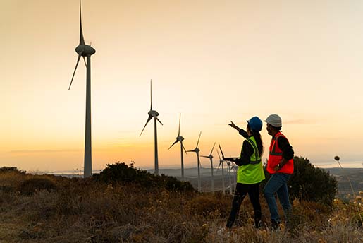 A man and a woman in hardhats point at a row of wind turbines.