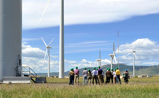 At the NREL flatirons campus, a group wearing hardhats stands among a field of wind turbines.