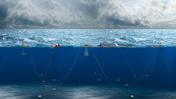 Digital illustration of moorings attached to a variety of wave energy devices.
