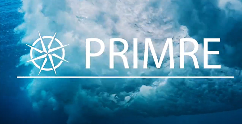 A wave overlain by the text "PRIMRE"