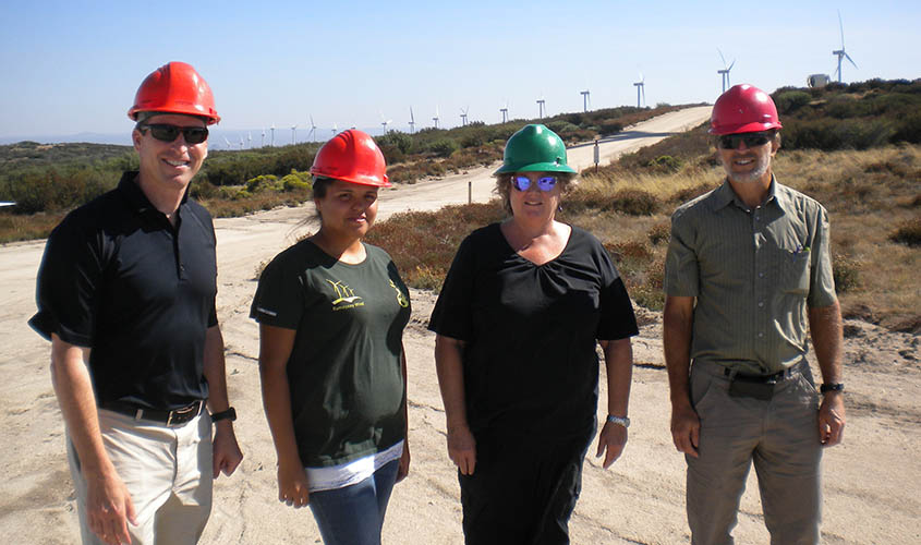 Four people wearing hardhats and standing on a dirt road in front of a row of wind turbines.