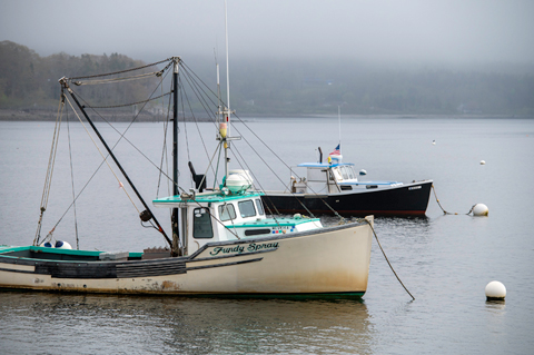 Two fishing vessels float off the coast of a foggy shoreline.
