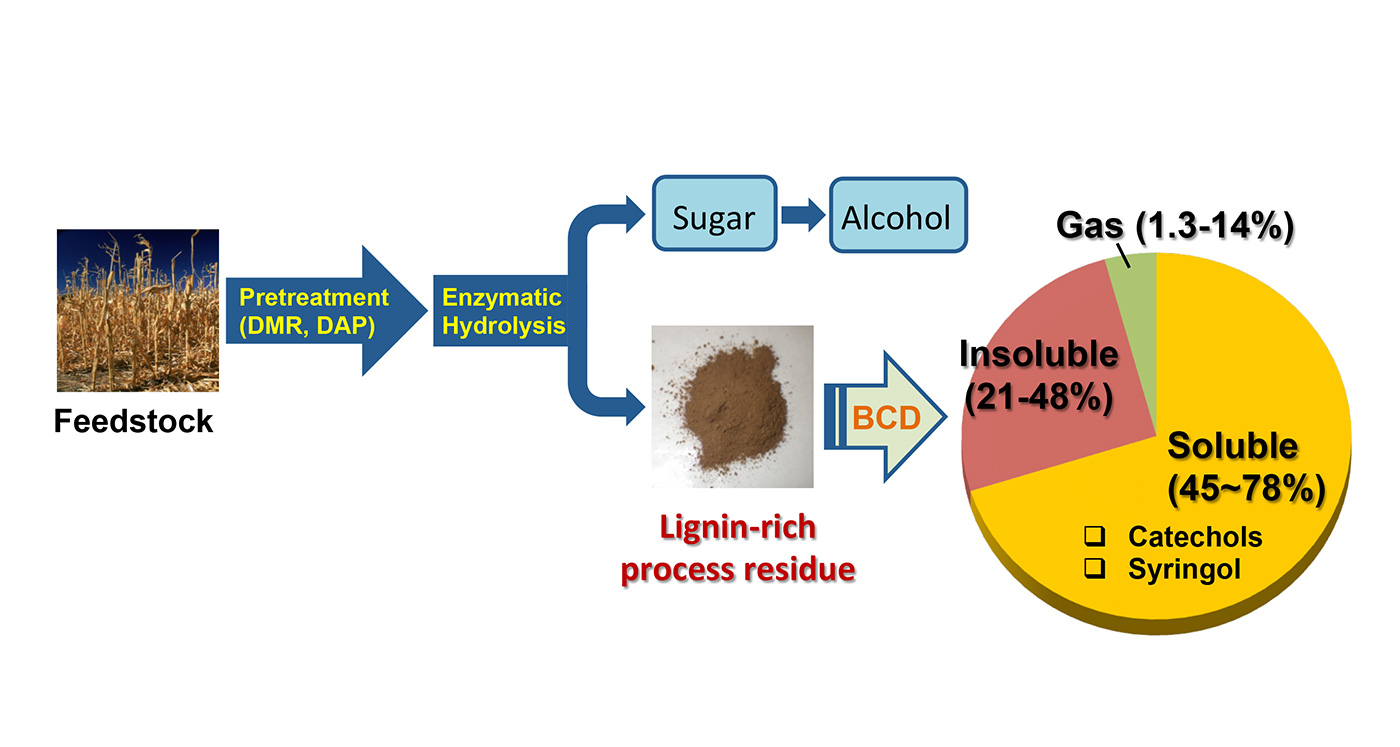 Flowchart figure showing a photo of dried, harvested corn labeled "Feedstock" with a blue arrow facing right labeled "Pretreatment (DMR, DAP)" leading to another blue double-arrow pointing right labeled "Enzymatic Hydrolysis". The top arrow points right to "Sugar" and "Alcohol"; the bottom arrow points right to a photo of brown dust labeled "Lignin-rich process residue" and another arrow pointing right labeled "BCD" that points to a pie chart labeled "Insoluble (21-48%)" in red, "Gas (1.3-1.4%)" in green, and "Soluble (45-78%)" in yellow also labeled with "catechols" and "syringol".