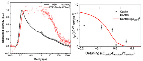 Left: coupling to a cavity leads to greatly increased excited state lifetimes Right: The decreased second order lifetime for exciton/exciton recombination is explained by the reduced time the exciton polariton spends as an exciton