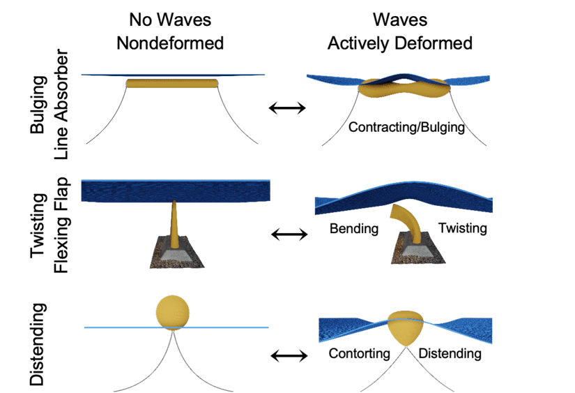 Flexible ocean wave energy converter archetypes
